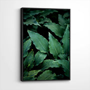 framed-canvas-black