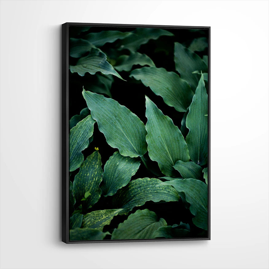 framed-canvas-black