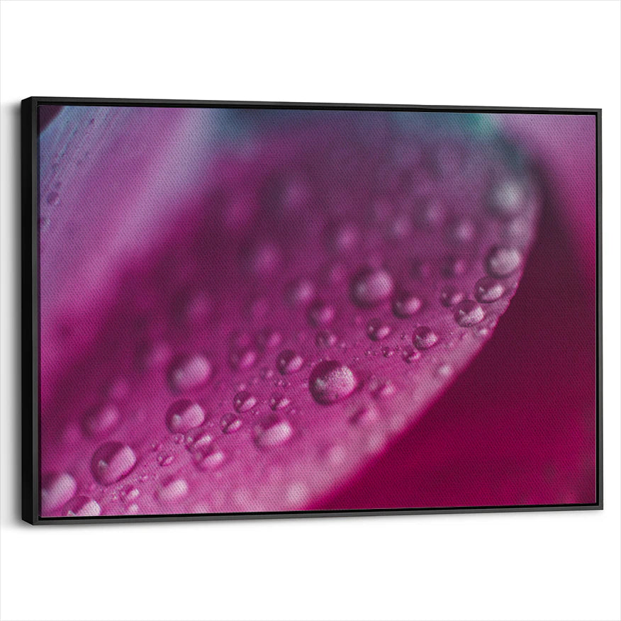 framed-canvas-black