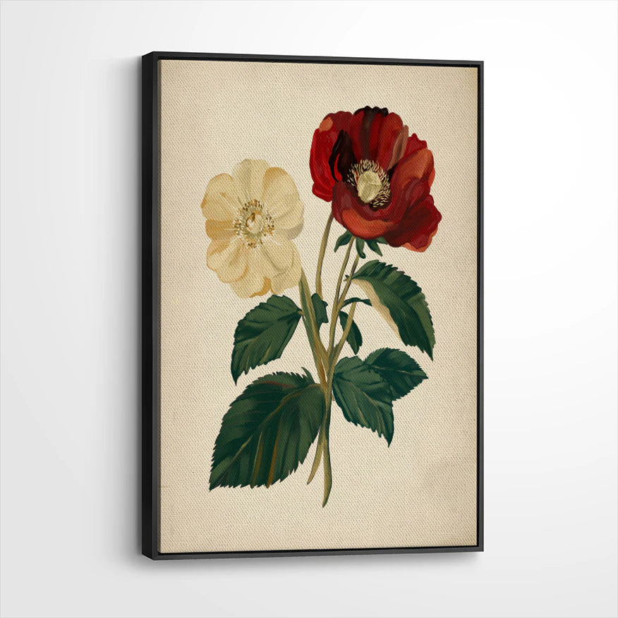 framed-canvas-black