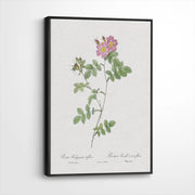 framed-canvas-black