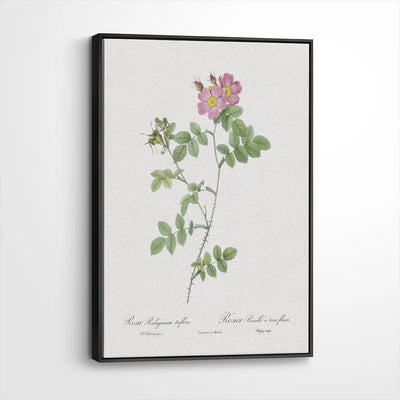 framed-canvas-black