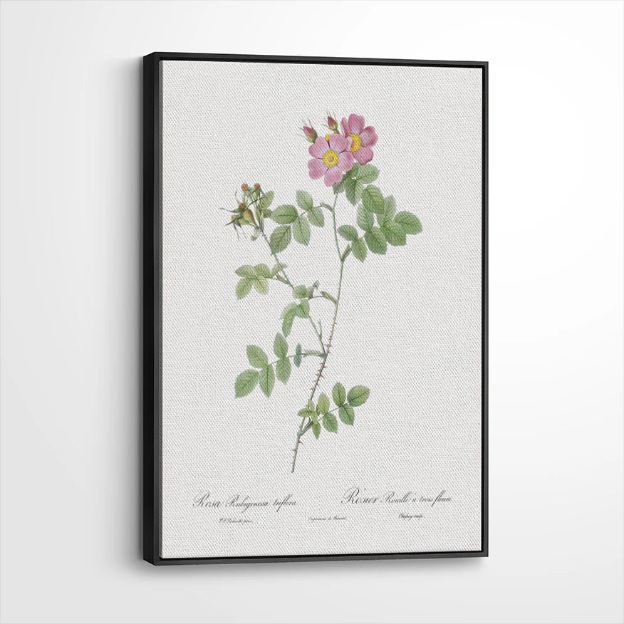 framed-canvas-black