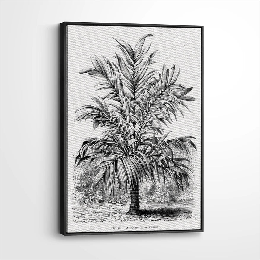 framed-canvas-black