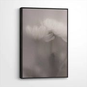 framed-canvas-black