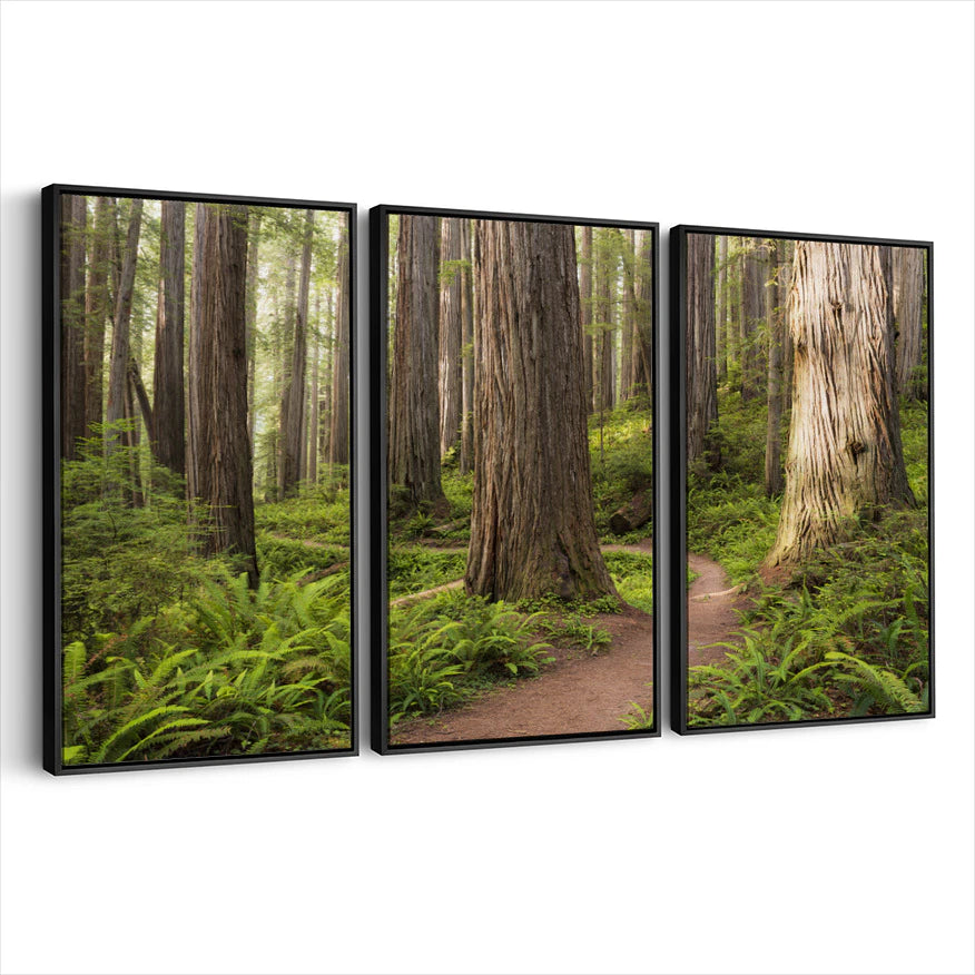 3-framed-canvas-black
