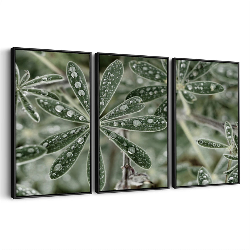 3-framed-print-black