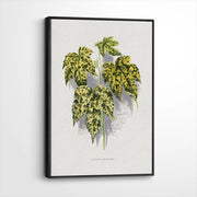framed-canvas-black