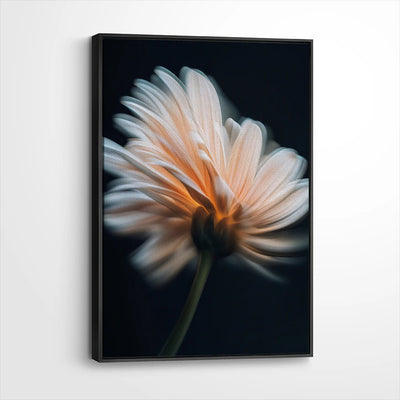 framed-canvas-black