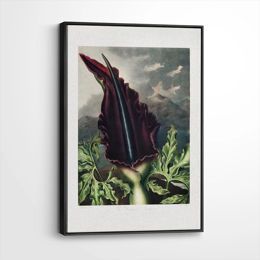 framed-canvas-black
