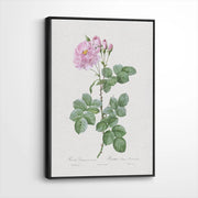 framed-canvas-black