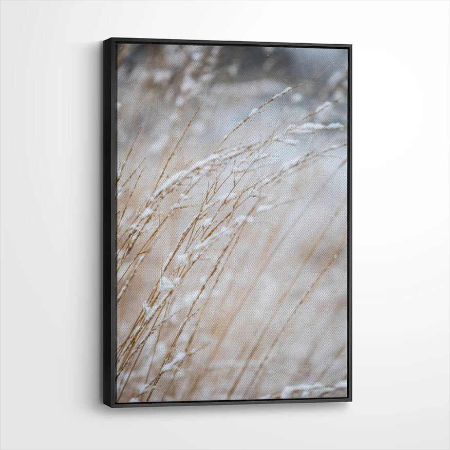 framed-canvas-black