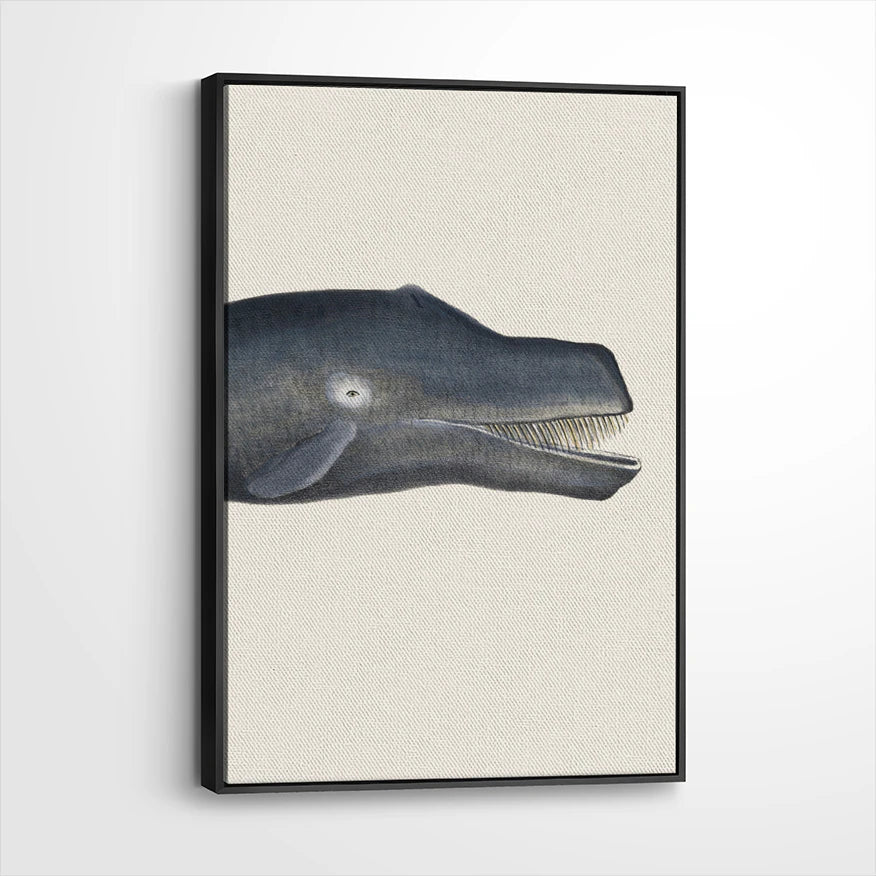framed-canvas-black