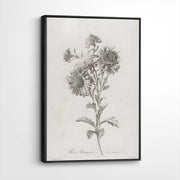 framed-canvas-black