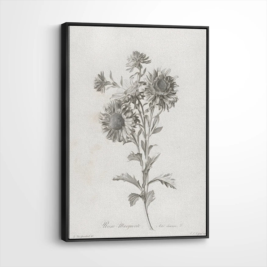 framed-canvas-black