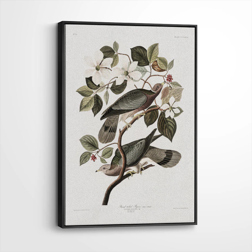 framed-canvas-black