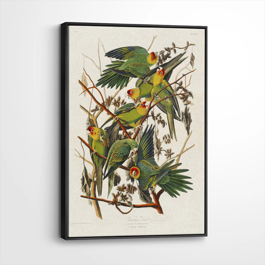 framed-canvas-black