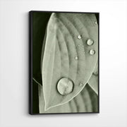 framed-canvas-black