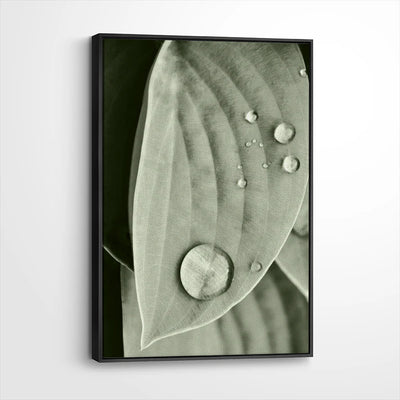 framed-canvas-black