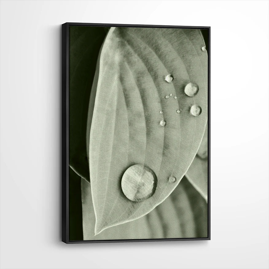 framed-canvas-black