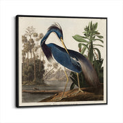 framed-canvas-black