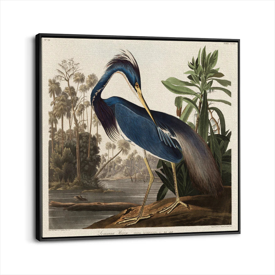 framed-canvas-black
