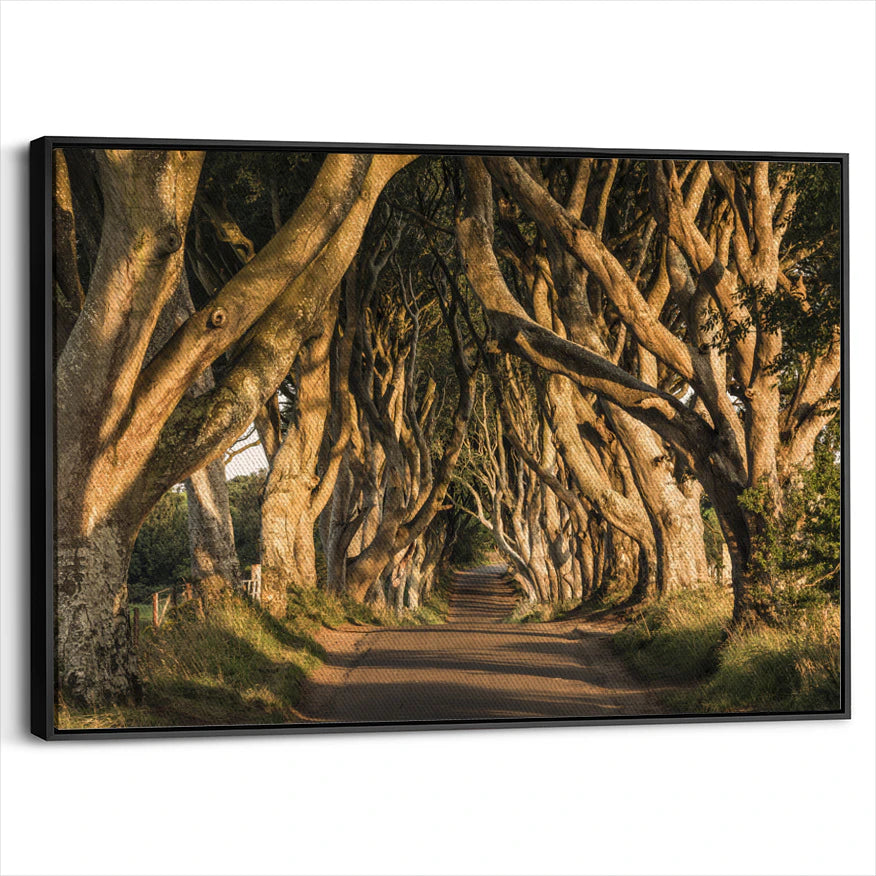 framed-canvas-black