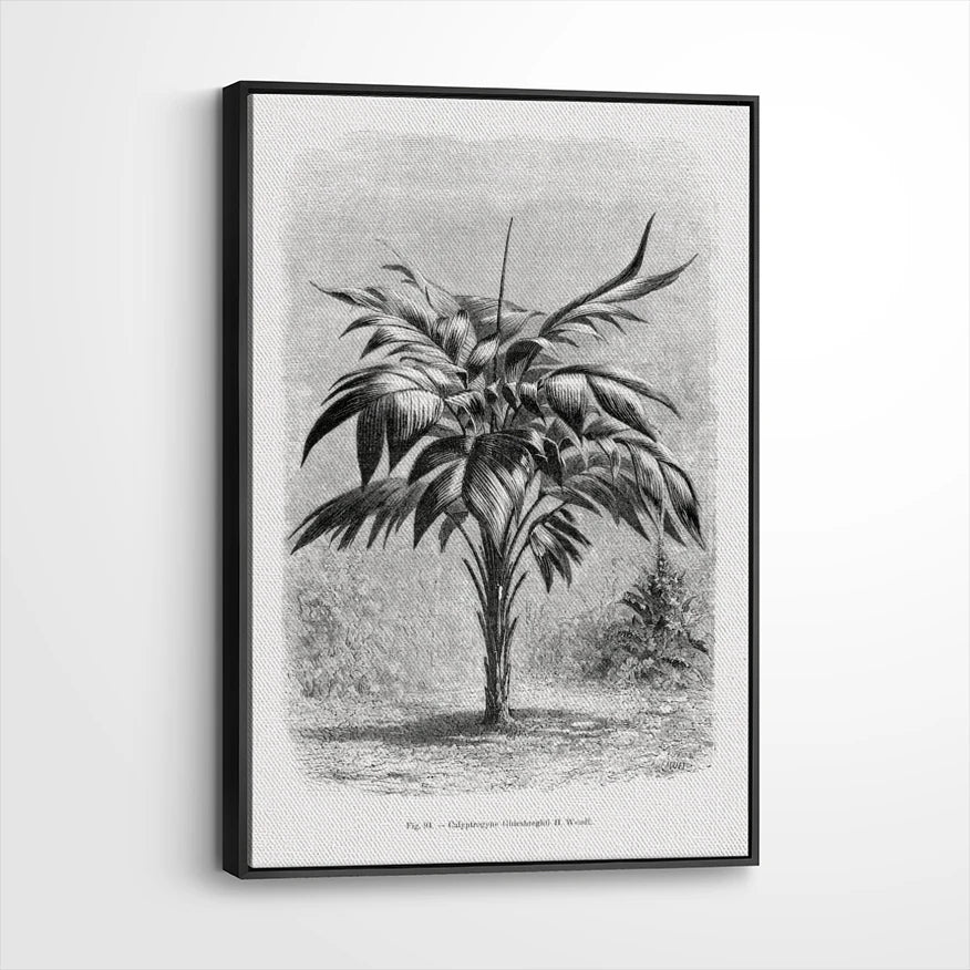 framed-canvas-black