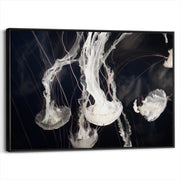 framed-canvas-black