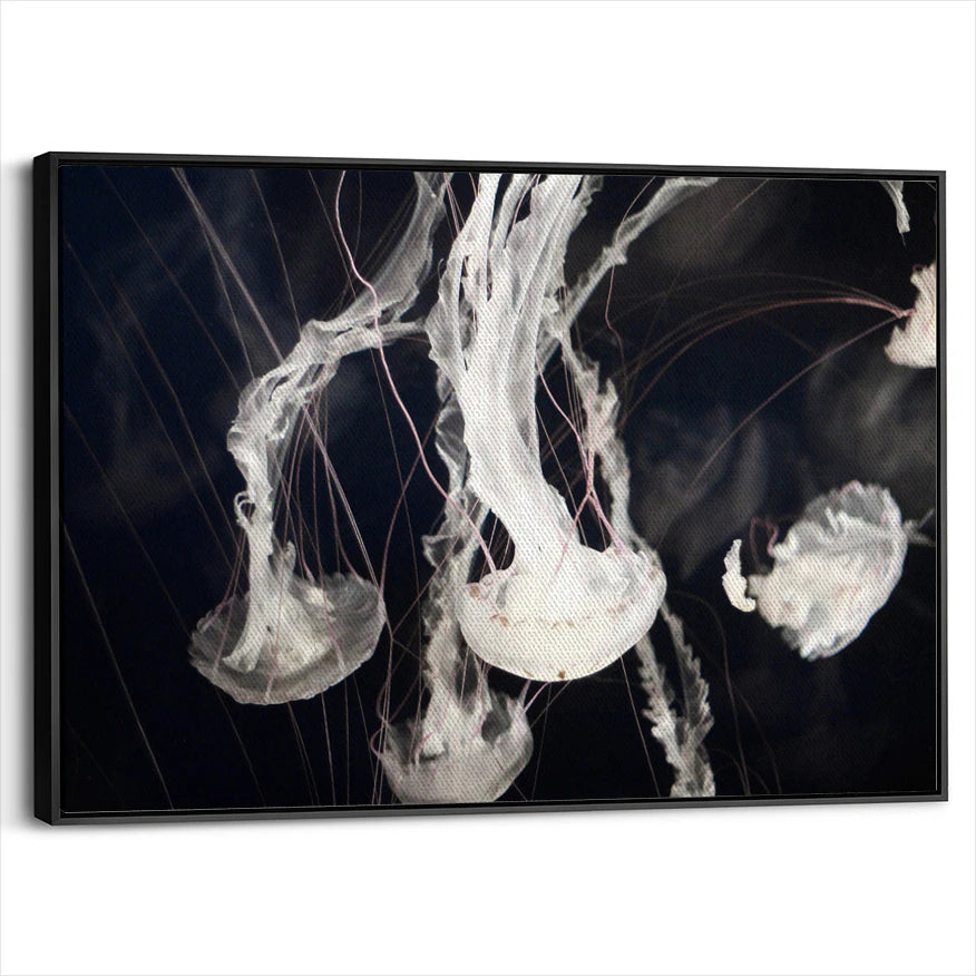 framed-canvas-black