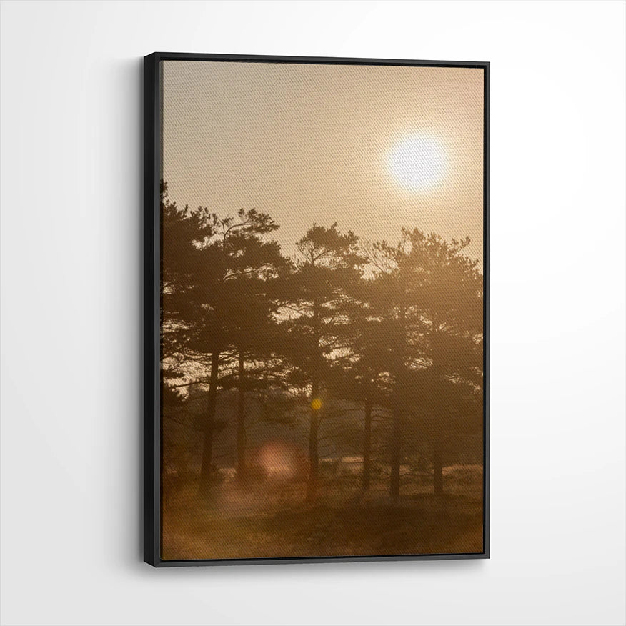 framed-canvas-black