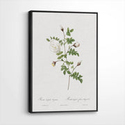 framed-canvas-black