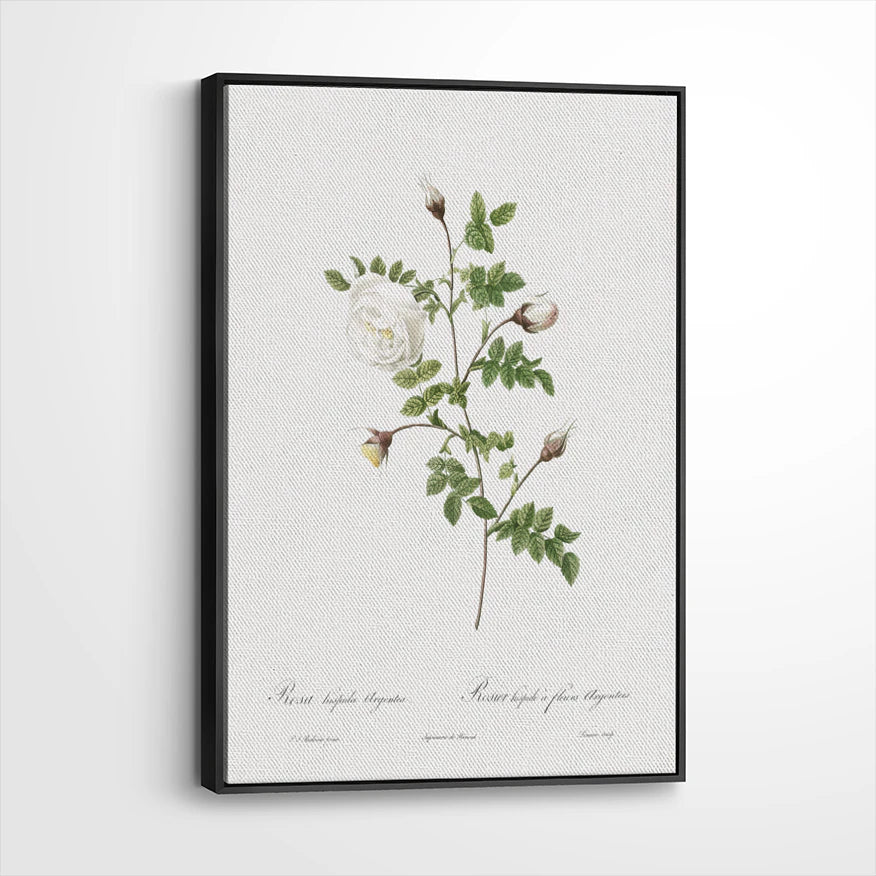 framed-canvas-black