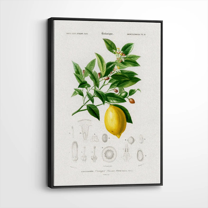 framed-canvas-black
