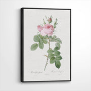 framed-canvas-black
