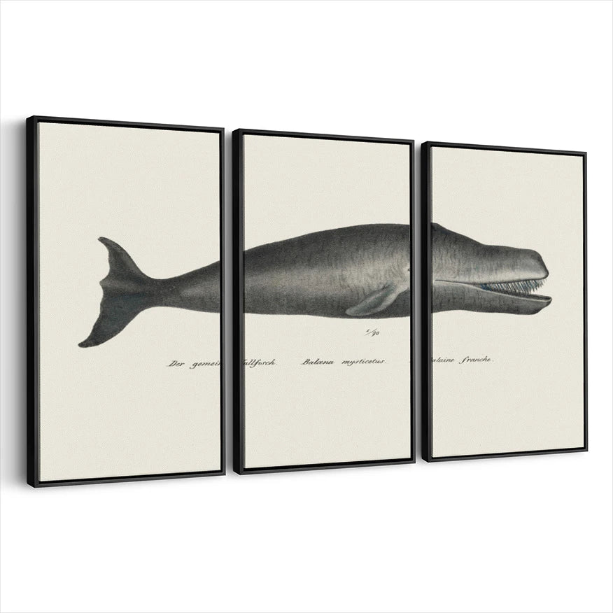 3-framed-canvas-black