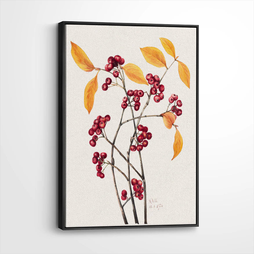 framed-canvas-black