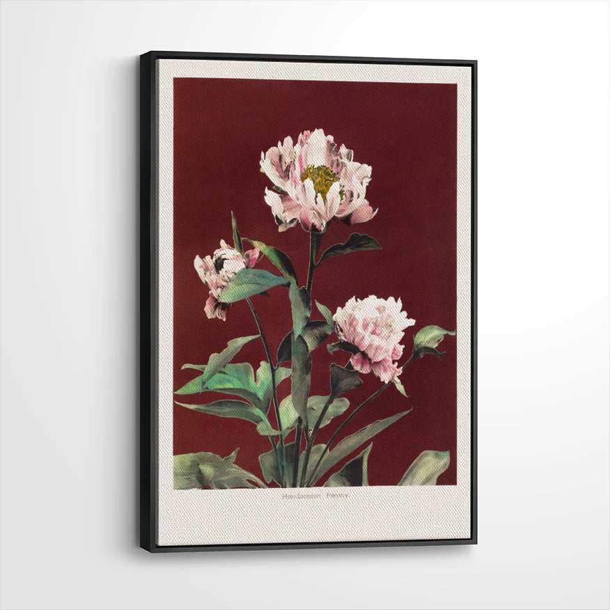framed-canvas-black