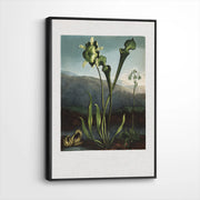 framed-canvas-black