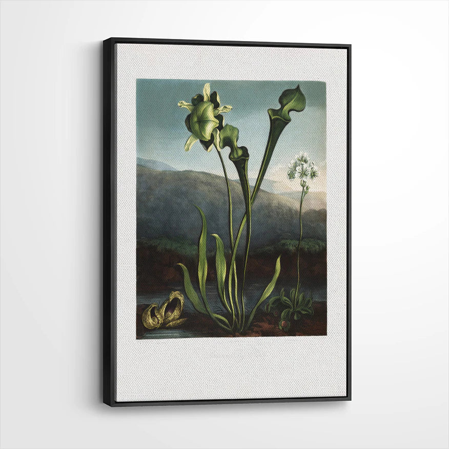 framed-canvas-black