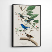 framed-canvas-black