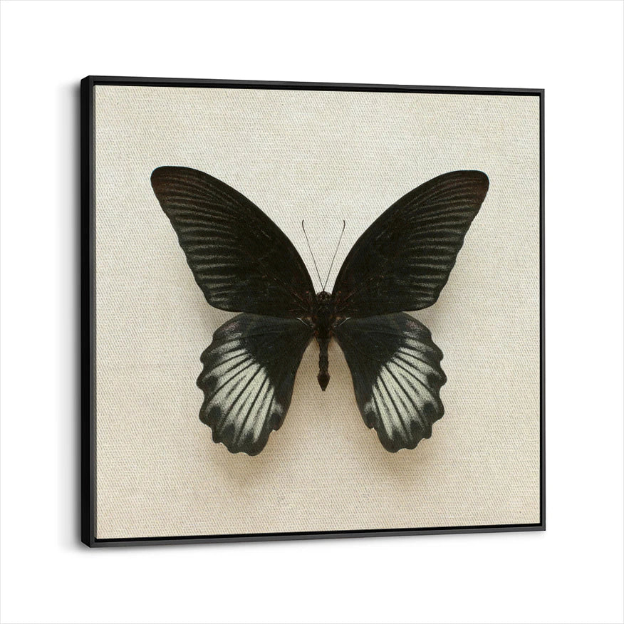 framed-canvas-black