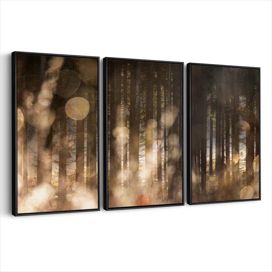 3-framed-canvas-black