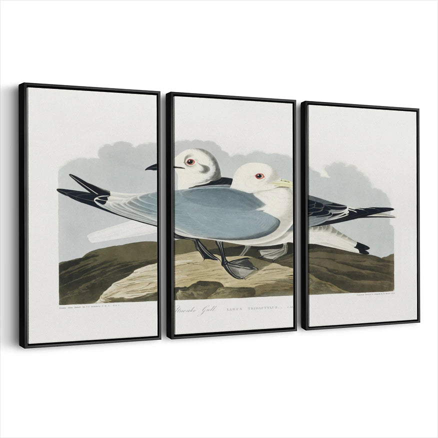 3-framed-print-black