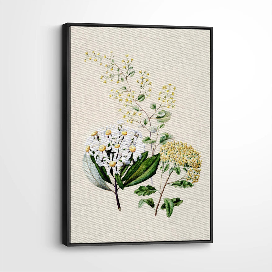 framed-canvas-black