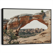 framed-canvas-black