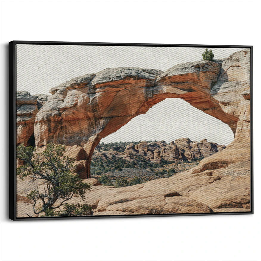 framed-canvas-black