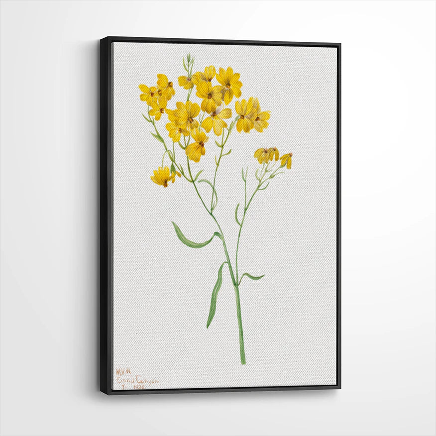 framed-canvas-black