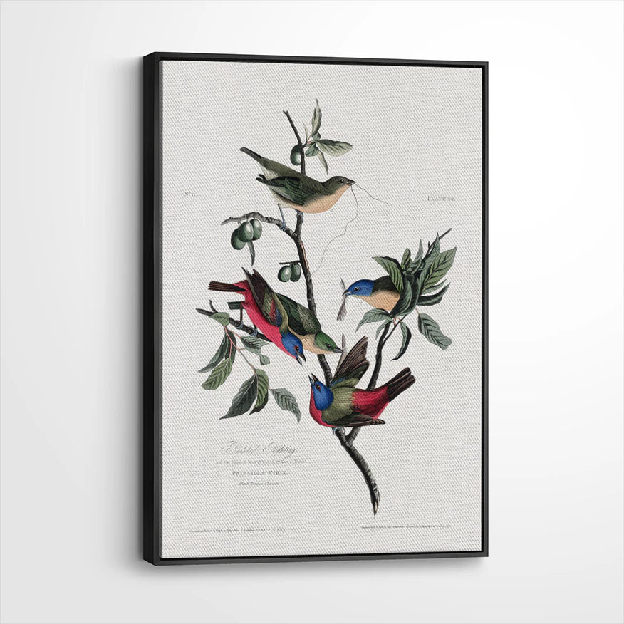 framed-canvas-black