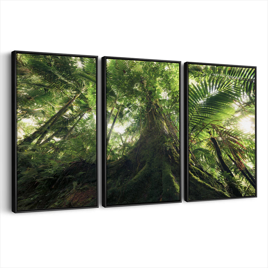 3-framed-canvas-black